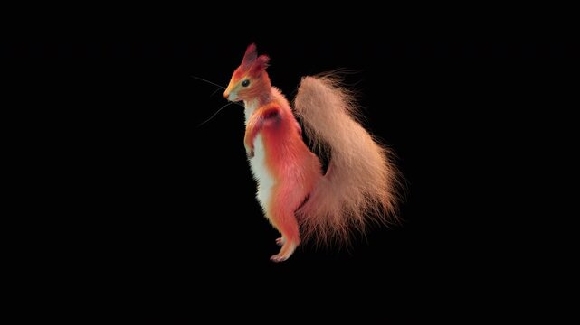 Realistic dancing squirrel performing rumba dance animation with alpha channel transparent background
