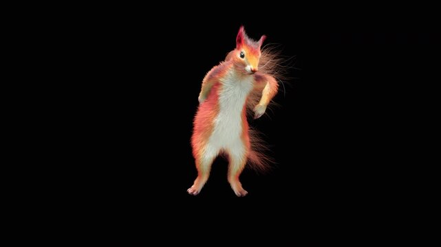 Realistic dancing squirrel performing rumba dance animation with alpha channel transparent background