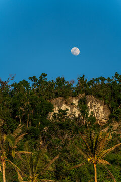 View of the moon rising above a lush cliffside covered in dense tropical vegetation and palm trees in San Jose, Tinian, Northern Mariana Islands.