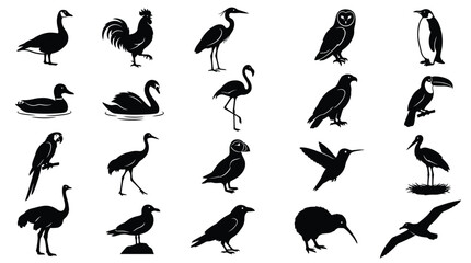 Fototapeta premium A collection of various bird species represented as isolated black silhouettes on a white backdrop