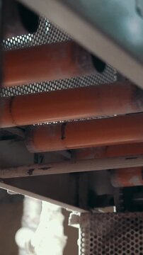 Industrial equipment of macaroni manufacturing