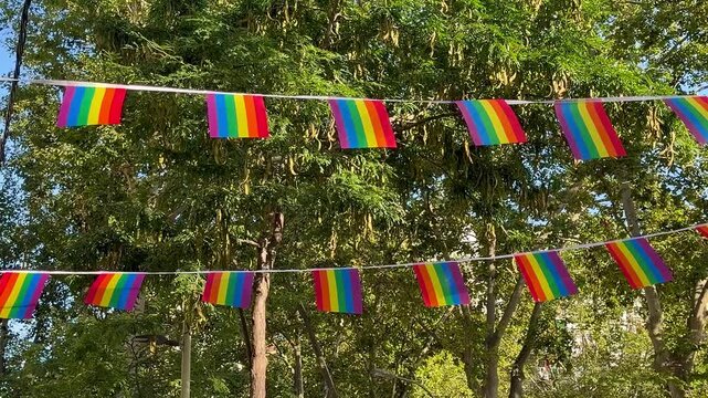 lgbt pride rainbow flags waving in the wind in a green park on a sunny day