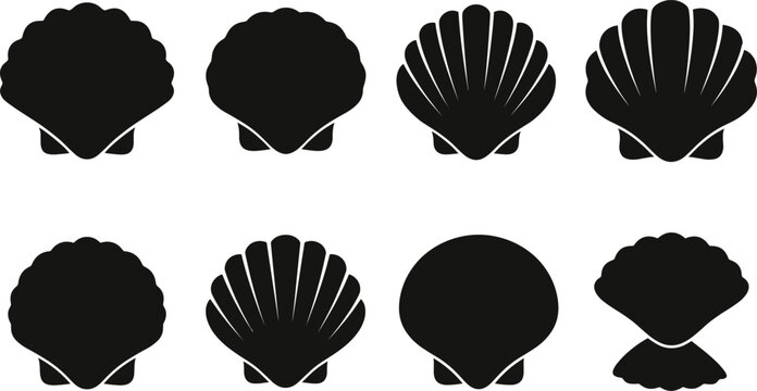 Black Scallop Shell Silhouette Collection Vector Icons Isolated on White Background