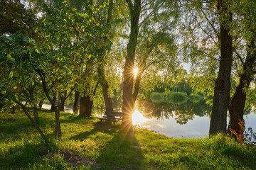 Fototapeta premium Sunburst through green trees by a calm lake with an empty bench