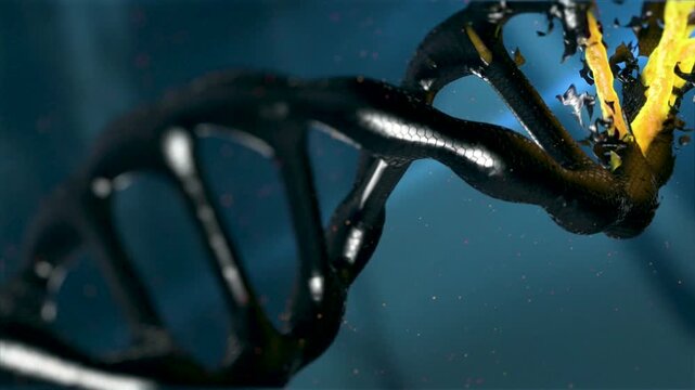 Close up of metallic DNA helix structure with water droplets in dark blue scientific setting