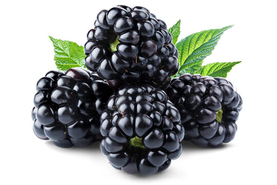Heap of fresh ripe blackberries with leaves isolated on transparent background.