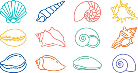 Colorful sea shells line art icon vector set featuring various minimalist spiral beach scallops, clams, and nautilus shapes isolated on white background. © MdShakib
