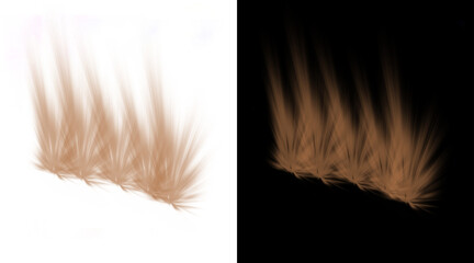 Realistic brown hair tufts and fur texture elements, soft animal fur patches on white and black backgrounds, hairy fiber brush strokes © MstNadira