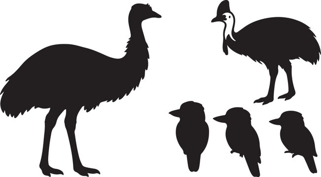 Black silhouettes of australian birds including emu cassowary and kookaburras