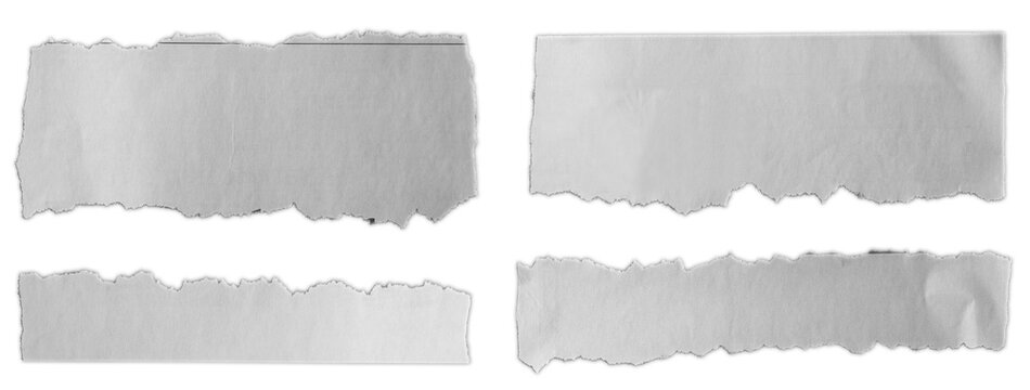 Torn pieces of paper