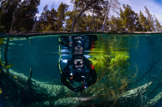 Buceo en  Patagonia