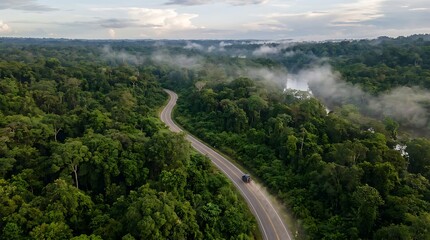Naklejka premium Aerial view winding forest road through misty green landscape in serene morning light