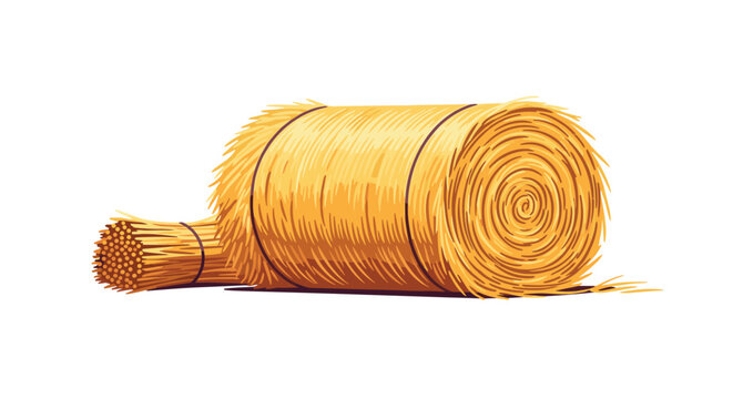 Two rolled golden hay straw bales lying on a clean white background, representing agricultural autumn harvest time.