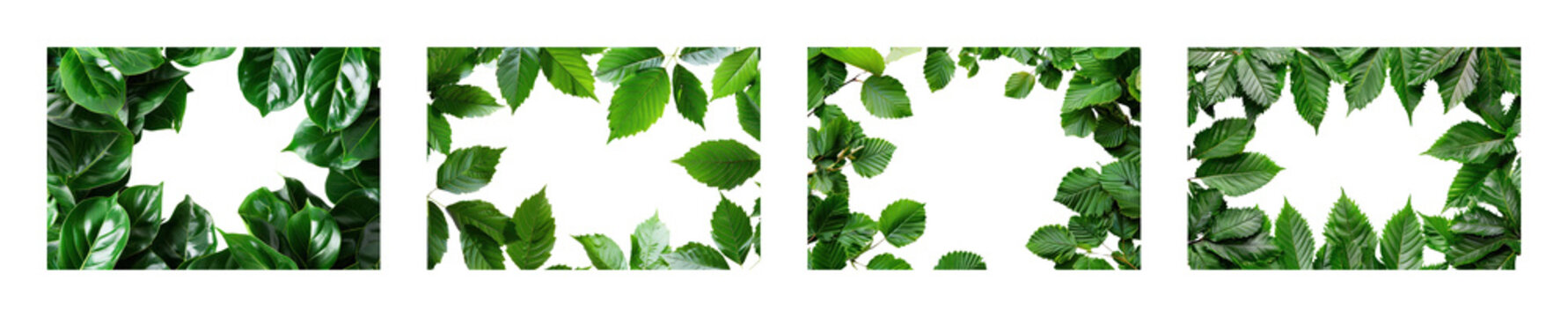 PNG Vibrant green leaf borders on transparent background