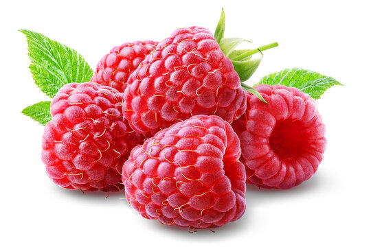 Heap of ripe raspberries with leaves isolated on transparent background.