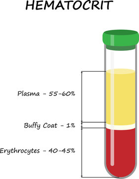 Hematocrit. Medical illustration.