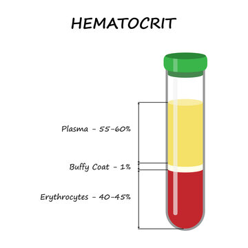 Hematocrit. Medical illustration.