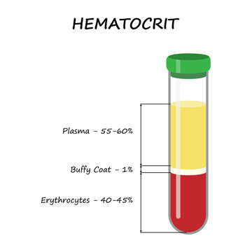 Hematocrit. Medical illustration.