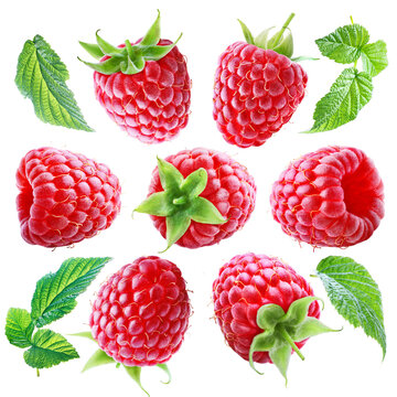 Seven ripe bight raspberries arranged in a circle with leaves isolated on transparent background.