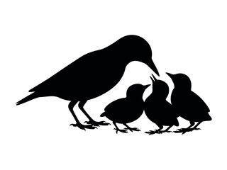Bird Silhouette Feeding Chicks Vector Illustration for Nature Design © Akunji Turza