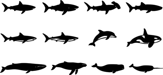 Marine life shark and whale silhouette icon collection with sea creature silhouette hammerhead © BD 