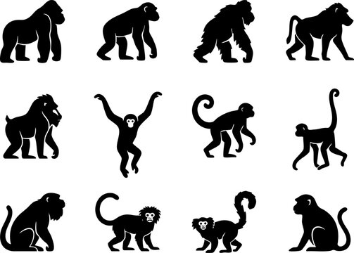 Collection of primate silhouettes featuring monkeys and apes animal kingdom wild life silhouette