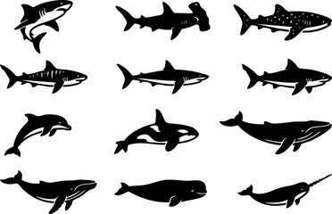 Selection of shark and whale silhouettes including hammerhead dolphin and narwhal with silhouette © BD 
