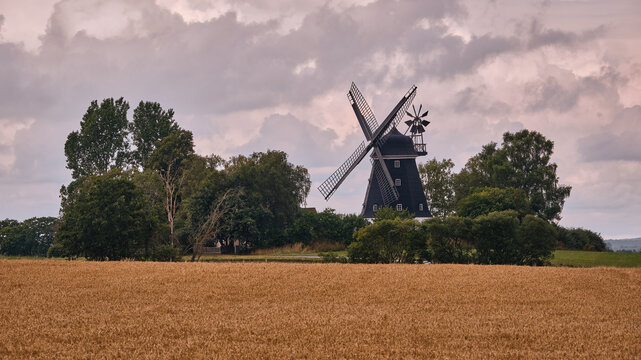 View of the historic Haga Kvarn windmill set amidst a golden wheat field with lush green trees under a cloudy sky in Haga, Skane County, Sweden.