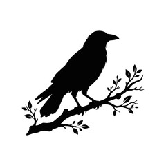 Fototapeta premium Black bird silhouette, crow on branch, vector raven icon, wildlife symbol isolated on White Background silhouette
