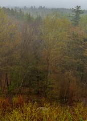 Fototapeta premium Foggy forest mountain landscape near the scenic Kancamagus highway in New Hampshire