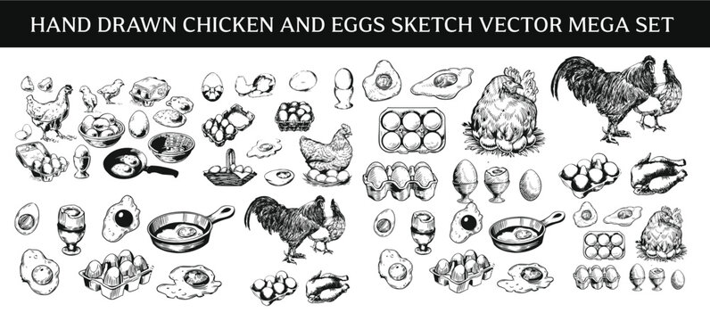 Hand drawn chicken and eggs sketch vector mega set, vintage engraving line art poultry farm icons collection, cute rooster, hen on nest, and fried egg clipart isolated on white background.