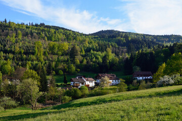 Fototapeta premium Paisaje rural cerca de Baden-Baden, Selva Negra, Alemania