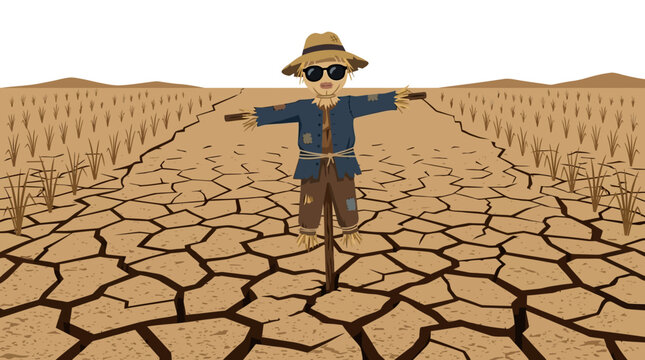 Scarecrow with sunglasses standing in parched cracked earth field under global warming drought