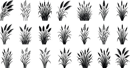 Premium Wild Grass Silhouette Collection Botanical Vector Elements Nature Design Bundle © MD. MASUD R ANA