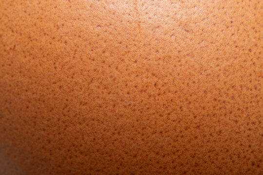 Macro detail texture of a brown chicken egg shell surface
