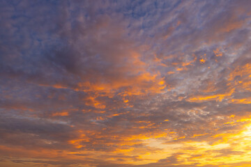 Fototapeta premium Dramatic Golden Sunset Sky with Vibrant Clouds,A breathtaking view of a dramatic golden sunset sky, filled with vibrant orange and yellow clouds scattered across a deep blue twilight atmosphere,