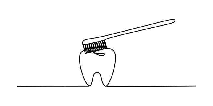 Continuous single line drawing of a human tooth being cleaned with a toothbrush for dental health and hygiene concept Vector, illustration