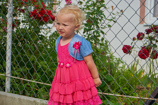 Adorable toddler girl in summer outfit posing outdoors, Cute little blonde girl in a bright pink dress and denim vest standing near a chain-link fence with red roses.