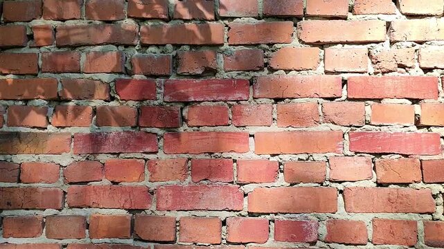 Brick wall with dark shadow of tree branches falling across surface. Textured masonry background for architectural design or industrial style exterior decoration.