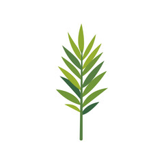 Palm leaf with long central rachis, narrow pointed leaflets, symmetrical featherlike shape, and upright stem, tropical foliage for botanical and jungle design, colorful illustration © point of BORT
