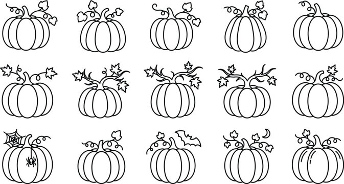 Seamless Halloween Pumpkin Outline Pattern with Hand Drawn Autumn Gourds