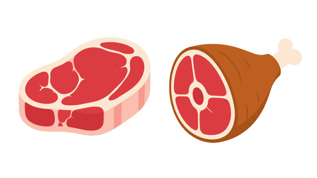 Fresh meat cuts and ham leg vector illustration set