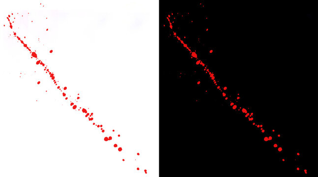 Red blood splatter trail on white and black backgrounds, realistic liquid spray droplets, forensic crime scene bloodstain pattern for horror design
