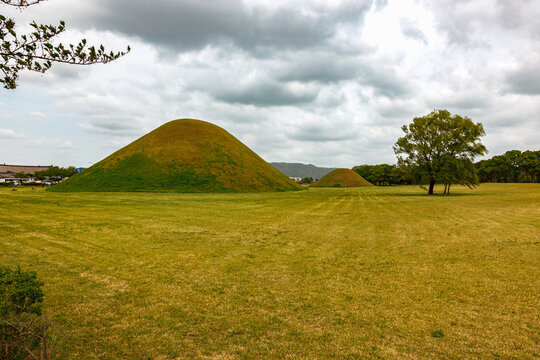 Royal Ancient Tumuli Tombs of Silla Kingdom and Lone Tree in Daereungwon Park Gyeongju