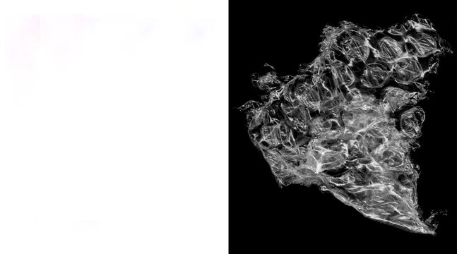 Microscopic cell structure analysis, biological tissue fibers under fluorescence microscopy, scientific research imaging of cellular network