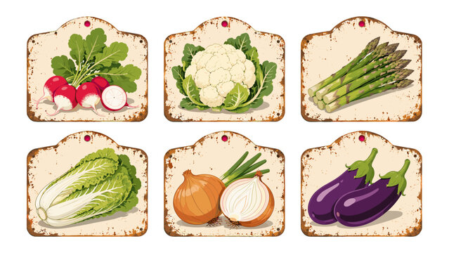 Vintage metal vegetable labels with radish cauliflower and asparagus