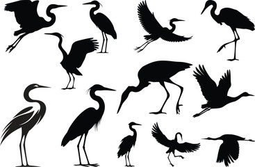 Naklejka premium Silhouette collection of herons in various poses, standing walking flying positions, wildlife bird design, nature animal posture, cad drawing flat vector illustration