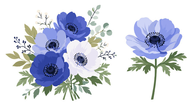 Blue anemone flower bouquet and single bloom isolated