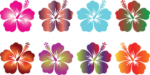 Set of colorful hibiscus flower illustrations in various gradient color schemes for floral design with hibiscus tropical botanical gradient colorful collection illustration decoration © manosh