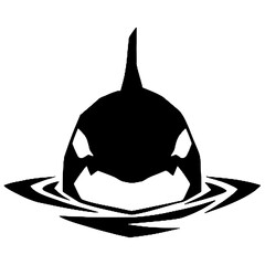 Silhouette portrait of an orca © Breck